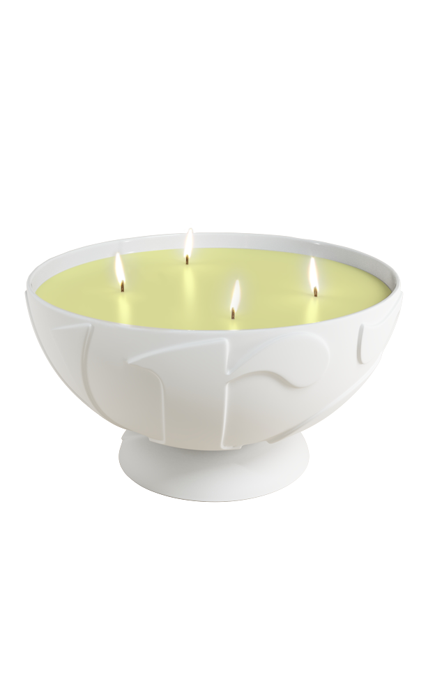 CANDLE Wonder-Large