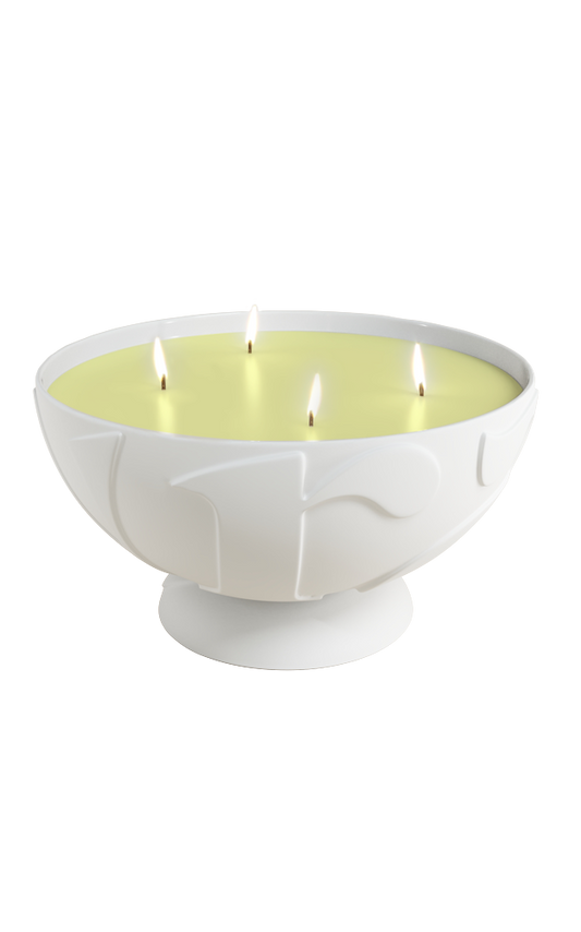 CANDLE Wonder-Large