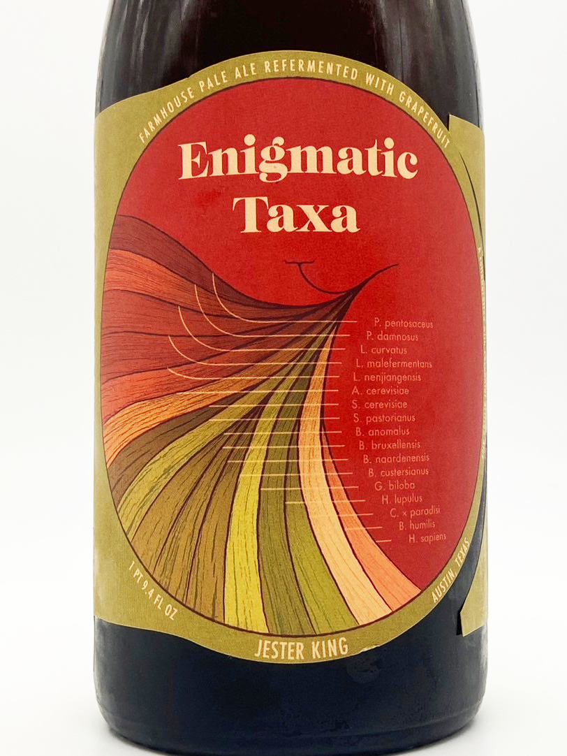 ENIGMATIC TAXA