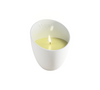 CANDLE Wonder